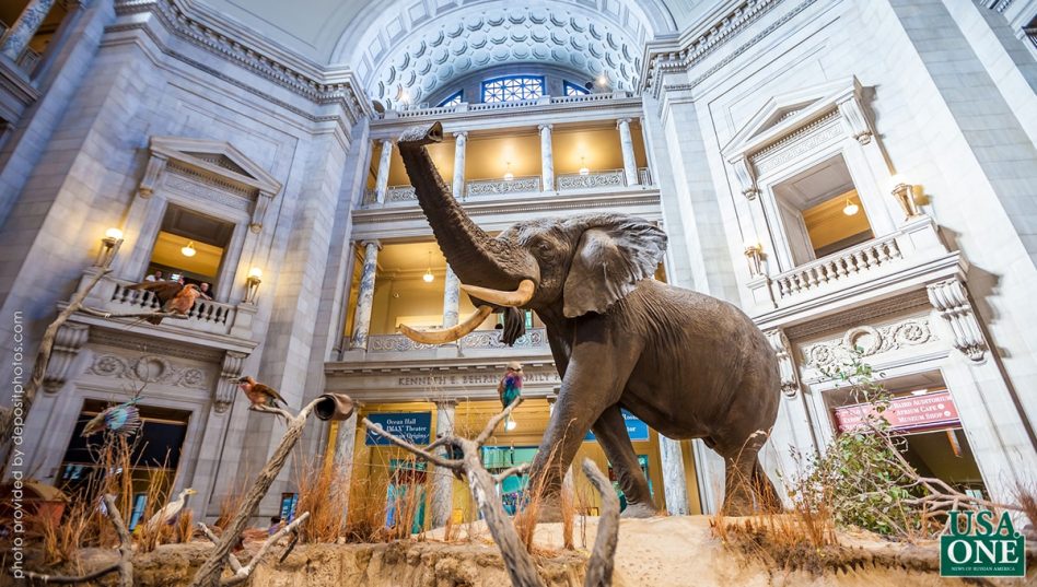 10 самых лучших виртуальных экскурсий