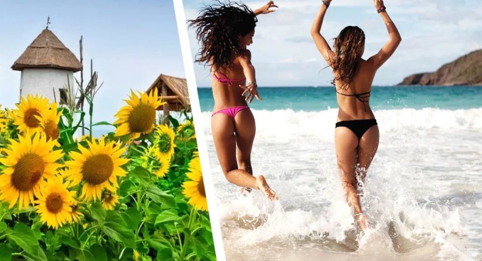 Кубань начнёт принимать первых туристов с 1 июня