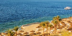 ??Egypt super oferte 29.10.2020!!!??