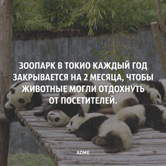 10 коротких фактов о нашем мире