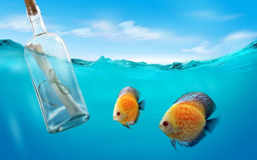 Польская туристка бросила бутылку с посланием в Финский залив и получила ответ спустя 10 лет