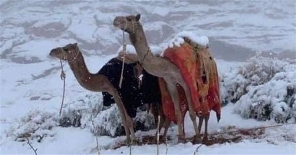 Впервые за 112 лет, в Египте выпал снег