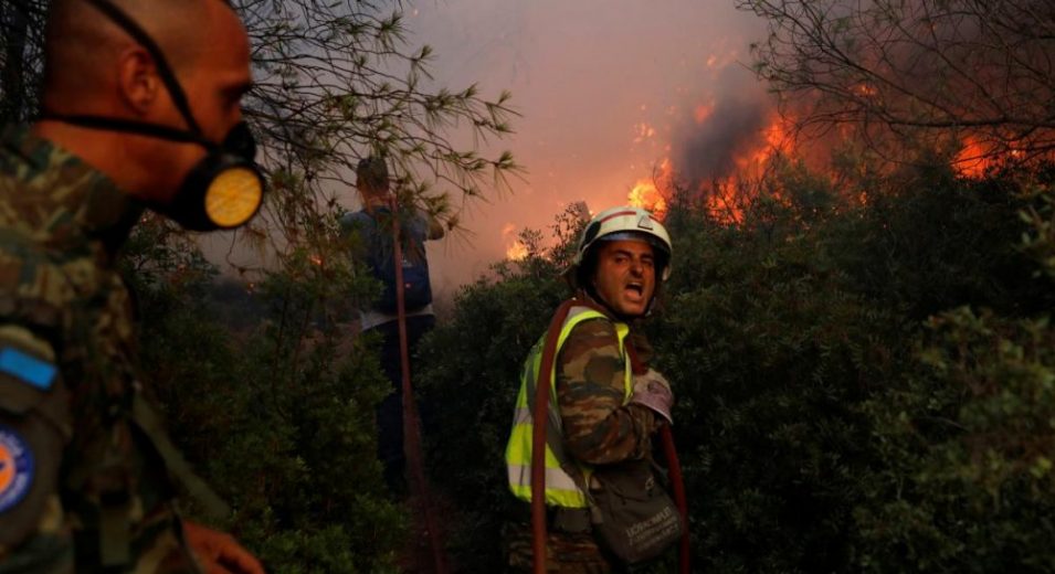 🇬🇷 Туристы из Казахстана сожгли лес в Греции.