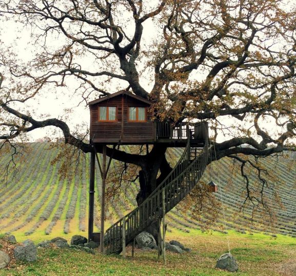 Сейчас бы встречать осень в этом доме на дереве в Тоскане.