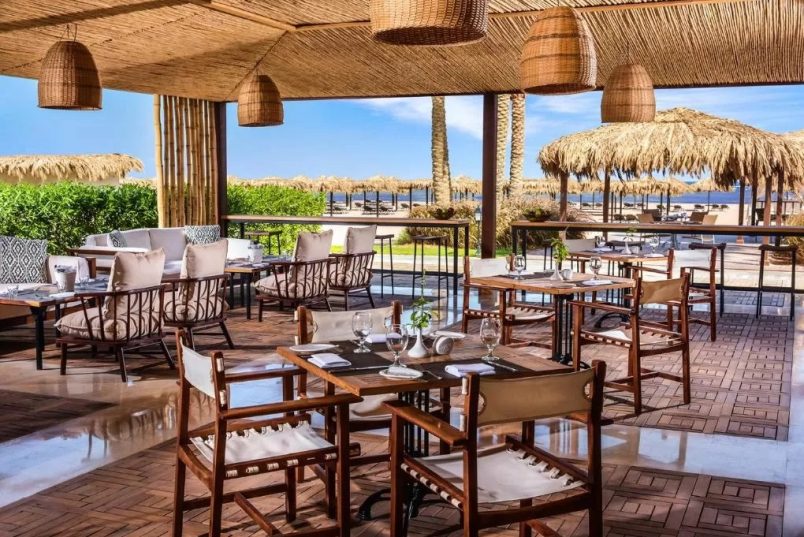 ⛱💙🌴💙 Sharm 2025! Egypt! "Steigenberger Alcazar" 5*!  💚  💚 💛💜