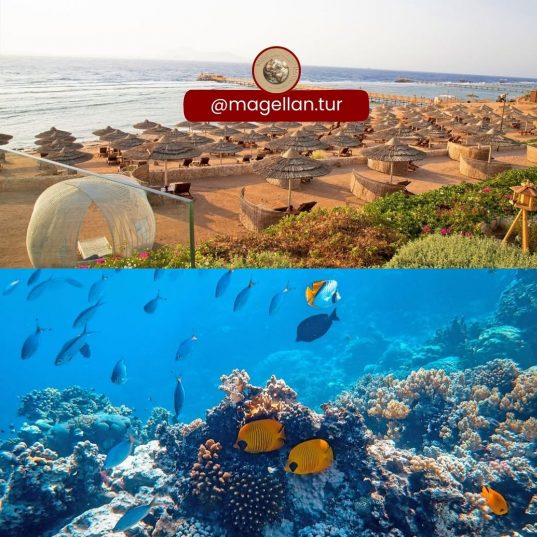 🔥CLEOPATRA LUXURY RESORT SHARM 5*🔥Исследуйте мир роскоши📌14.01.2025—20.01.2025 -  от 880 €