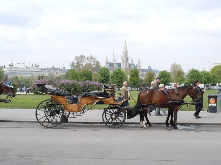 ВЕНСКИЙ ВАЛЬС НА 8 МАРТА!