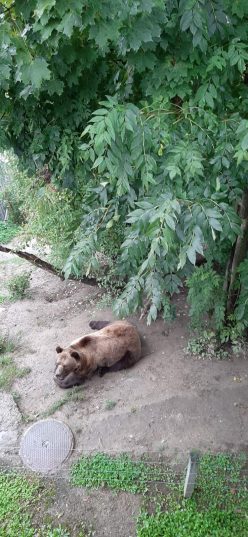 ШВЕЙЦАРИЯ - ЛИХТЕНШТЕЙН + ЗАМКИ ГЕРМАНИИ!