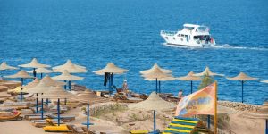 🍒 Уютный Уголок – Премиум Качество 4 Звезд 🍒 в Отеле Amphoras Blue  4* 💫ЕГИПЕТ🌊   1-я линия от моря🌴 🌴✈️ летим  24.01.2025