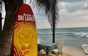 🍧🍧 Sri Lanka! C 15.01! Время релакса и приключений! 🧡☀