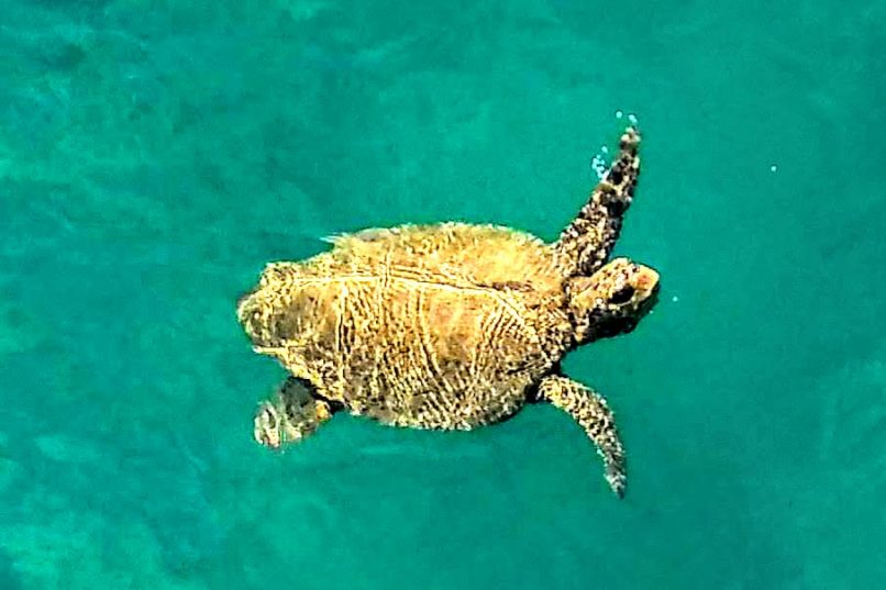 Тур по Греции + отдых на Закинтосе