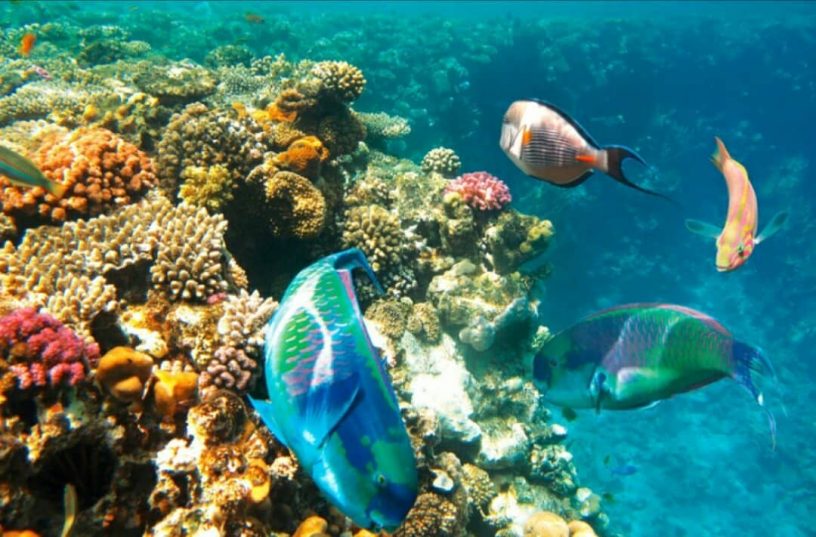 Романтика под египетским небом: День влюбленных в Шарме-эль-Шейхе💞