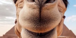 ☀️ Egypt! Hurghada! Ваш отдых ждет! ☀️