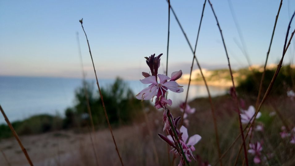 ИСПАНСКИЕ КАНИКУЛЫ - КАТАЛОНИЯ!