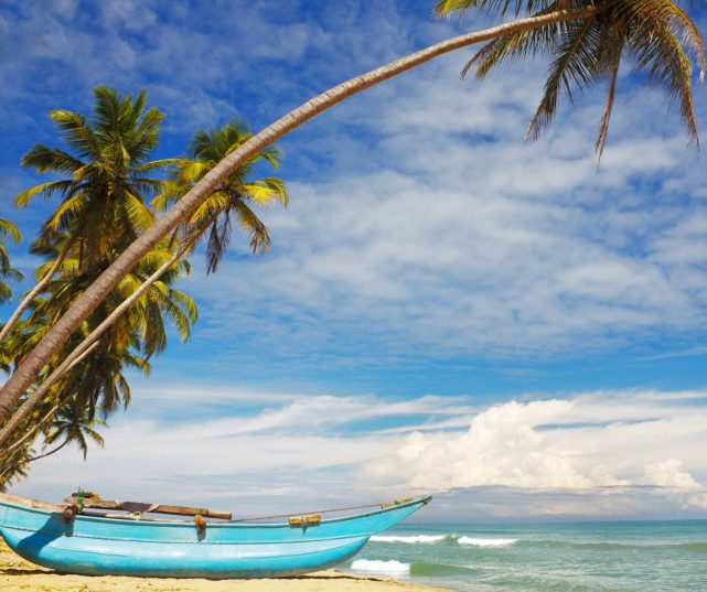 Встречайте весну на Шри Ланке! Вылет 08.03!