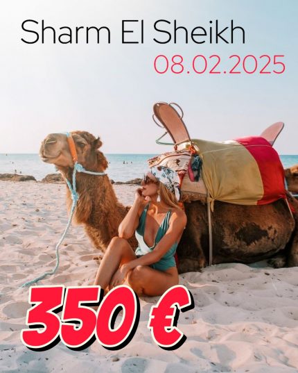 ☀️🌊𝐒𝐡𝐚𝐫𝐦 𝐄𝐥 𝐒𝐡𝐞𝐢𝐤𝐡 вылет 08.02.25 💗Проведи 14 февраля на море!