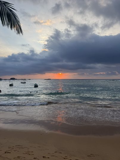 😍 Sri Lanca👄💙 Встречаем весну на океане!! 💚 Летим 26.02 💛 Туры с ALL!