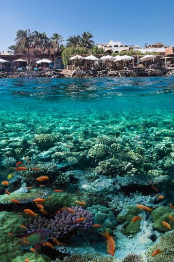 💙 Egypt 2025 – ваш отдых в Шарм-эль-Шейхе! 🏖️ 5 ночей!