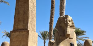 ❤️ Egypt! Sharm! С 11.02!🧳Полетели отдыхать⛱️