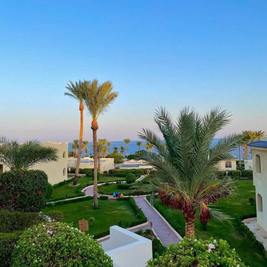 😍😍 👄💙💚 Egypt! Sharm! Grand Oasis Resort 4*+!💛💜