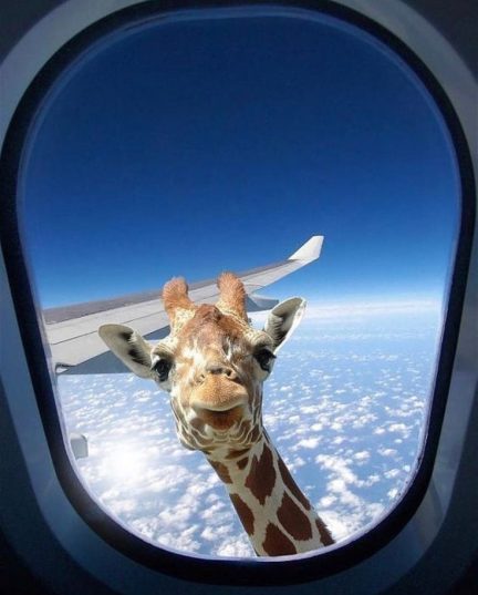 🍒️ Zanzibar! Экзотика, которую вы не забудете! C 01.03! 🏖️