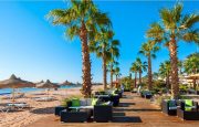😍 Egypt! Sharm! "Baron Resort" 5*! 💛💜