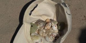 🐠😎 Turkey! Hotele 5*! 3 maturi! Din 12.05! 🍦🍹