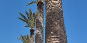 🔥Горит Египет!🔥Вылет✈️13.02 на 7 ночей🔥🔥От 285€✅Звони сейчас!