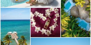 🌴🌺Танзания - Рай для двоих!🌺  🌟𝑩𝒍𝒖𝒆 𝑴𝒐𝒐𝒏 𝑹𝒆𝒔𝒐𝒓𝒕 𝟏𝟖+ 𝟒*