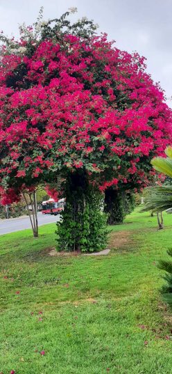 ЭКСКУРСИОННЫЕ ТУРЫ С МОРСКИМ РЕЛАКСОМ