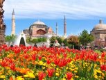 ФЕСТИВАЛЬ ТЮЛЬПАНОВ В СТАМБУЛЕ!
