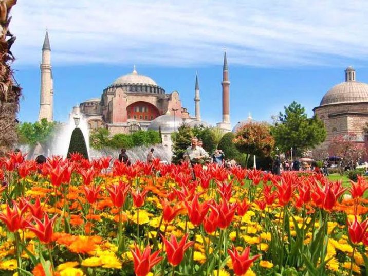 ФЕСТИВАЛЬ ТЮЛЬПАНОВ В СТАМБУЛЕ!