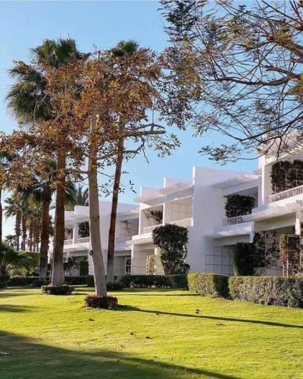 😍 Organizeaza-ti vacanta mult asteptata 🌴 EGIPT - Sharm El Sheikh!