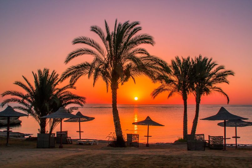 Marsa Alam from Chisinau!   Первый рейс 13.03 на 🌙7 ночей