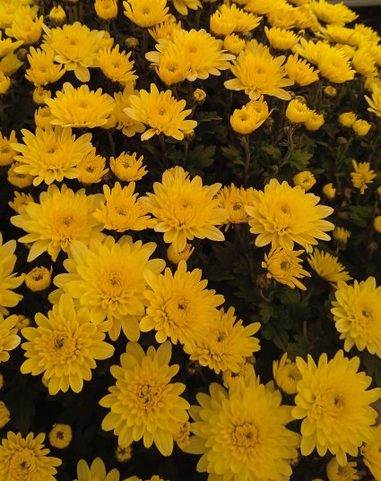 🌊 Grecee! Лето в Ираклионе!! ✨ C 16.06! 🌊