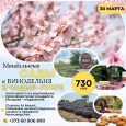 Цветущий миндаль и вина Гагаузии 30 марта!!!