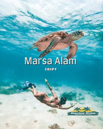 ✨️MEGA REDUCERI ✨️Egipt - Marsa Alam! Hotel de 5* de la 630 euro / 2 adulti