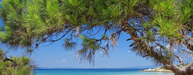 ЭКСКУРСИОННЫЕ ТУРЫ С МОРСКИМ РЕЛАКСОМ