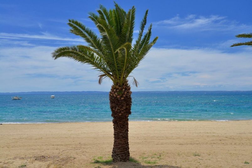 ЭКСКУРСИОННЫЕ ТУРЫ С МОРСКИМ РЕЛАКСОМ