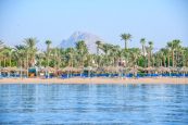 🌴 Отпуск в Шарм-эль-Шейх 🌴 🏖 Jaz Sharm Dreams 5*
