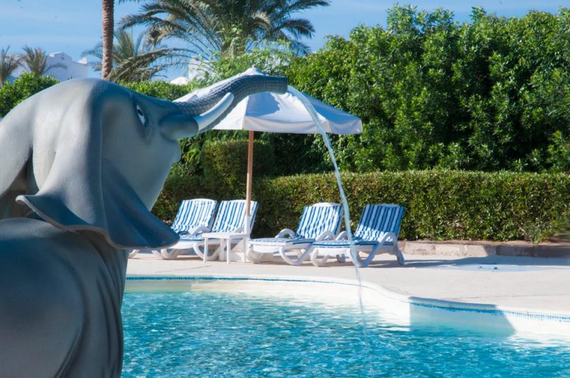 ✅Египет, Шарм Эль Шейх🔥☀️CONTINENTAL PLAZA BEACH 5*🔥✅Звони сейчас!