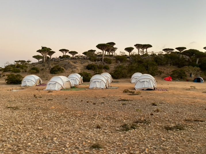 GT-сафари на остров Сокотра ДАТА: под запрос 💰 СТОИМОСТЬ: 3900€