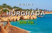💥PRETURI FIERBINTI!!💥🌊 #Egipt 🌴 #Hurgada