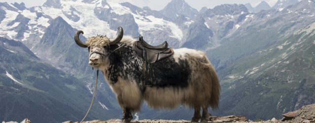 Групповой тур в Тибет - 11 дней ⏰ДАТА: 15-26 сентября 2025 💸СТОИМОСТЬ: 2150 евро