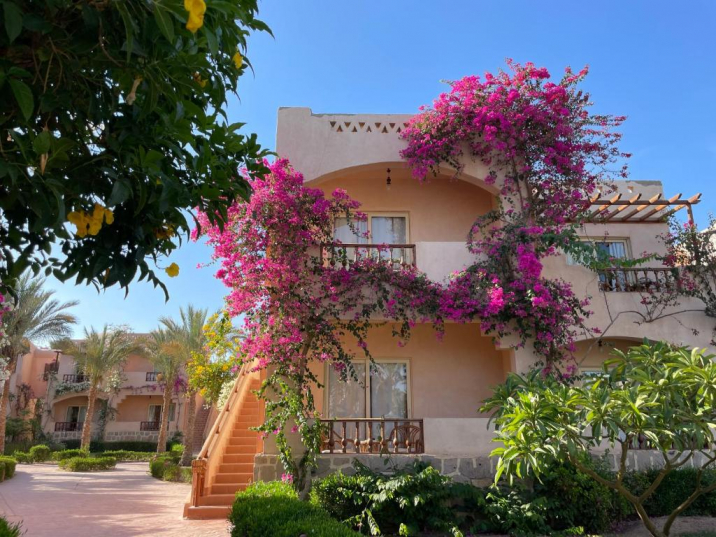 🌵Marsa Alam - Egipt ! ✈ Zbor Direct 08.05.2025 De la 530 euro /pers