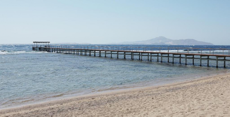 🌴🌴Зеленый отель на 1 ой линии 🌴🌴🌟 Sharm Grand Plaza 5*🏖️🐠1-я линия от моря 🌴Набк Бей Шарм-эш-Шейх ✈️ летим 13.05.2025