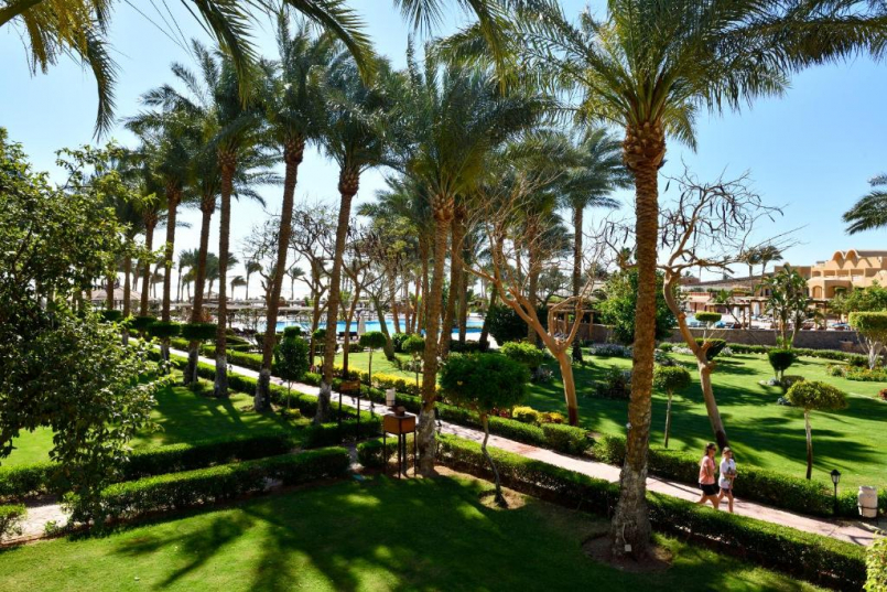 🌴🌴Зеленый отель на 1 ой линии 🌴🌴🌟 Sharm Grand Plaza 5*🏖️🐠1-я линия от моря 🌴Набк Бей Шарм-эш-Шейх ✈️ летим 13.05.2025